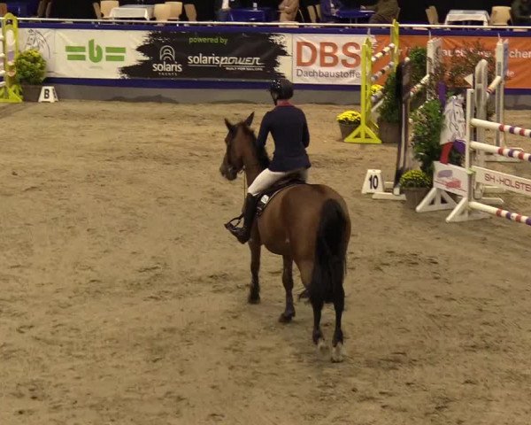FEI Reitturnier Neumünster (GER) 2021