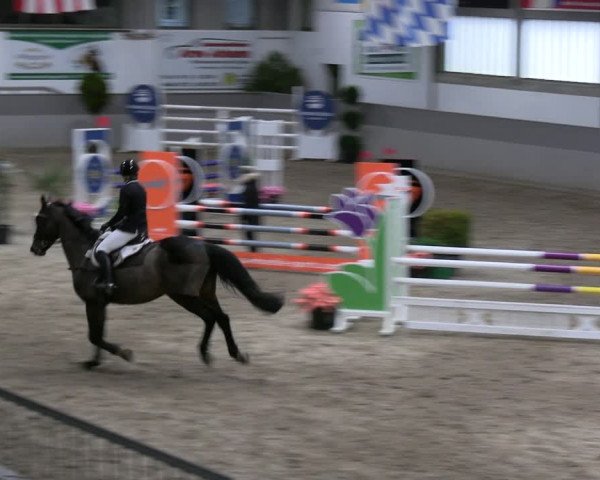 Reitturnier Luhmühlen 2023