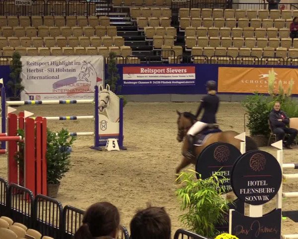 FEI Reitturnier Neumünster (GER) 2021