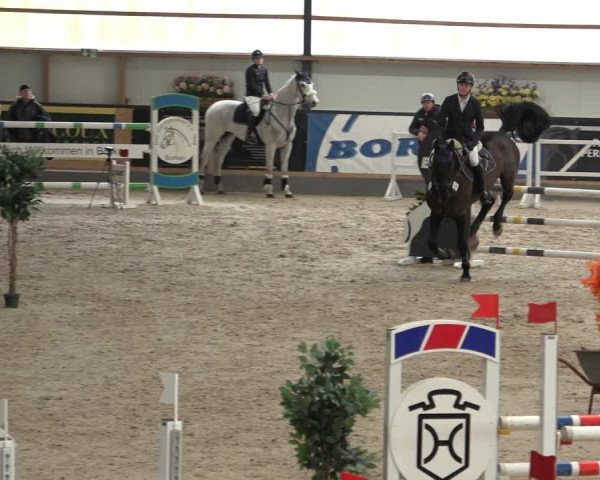 Reitturnier Borken 2023