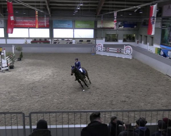 Reitturnier Luhmühlen 2023