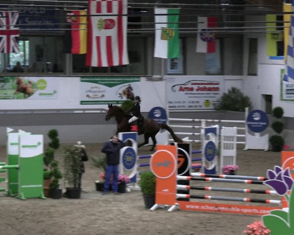 Reitturnier Luhmühlen 2023