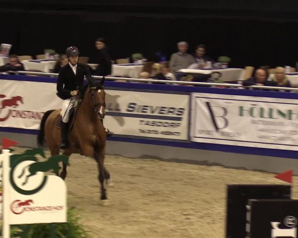 FEI Reitturnier Neumünster (GER) 2021