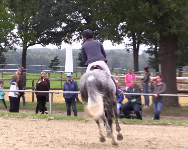 Reitturnier Haltern am See 2021