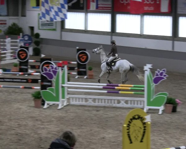 Reitturnier Luhmühlen 2023