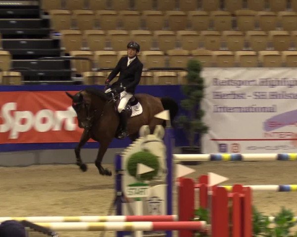 FEI Reitturnier Neumünster (GER) 2021
