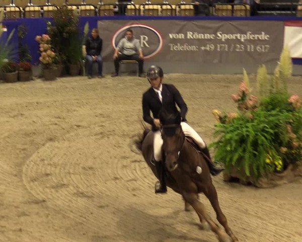 FEI Reitturnier Neumünster (GER) 2021