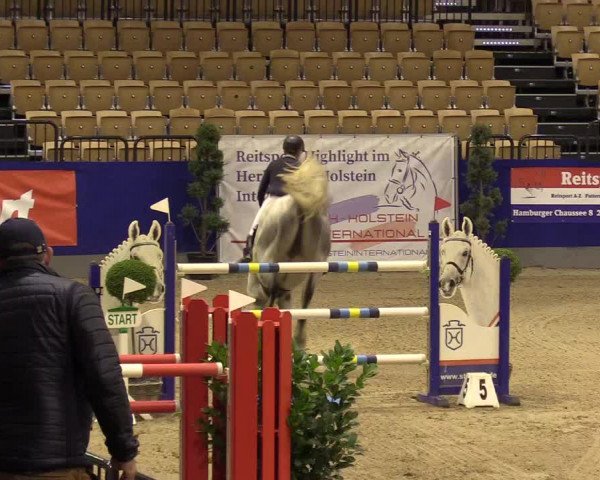 FEI Reitturnier Neumünster (GER) 2021