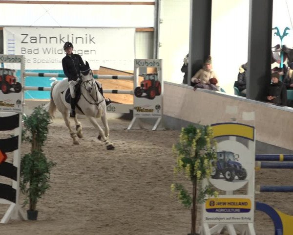 Reitturnier Borken 2023