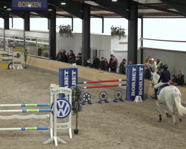 Reitturnier Borken 2023