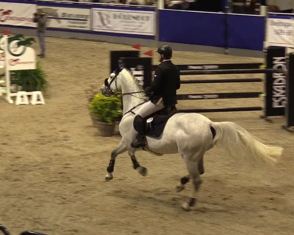 FEI Reitturnier Neumünster (GER) 2021
