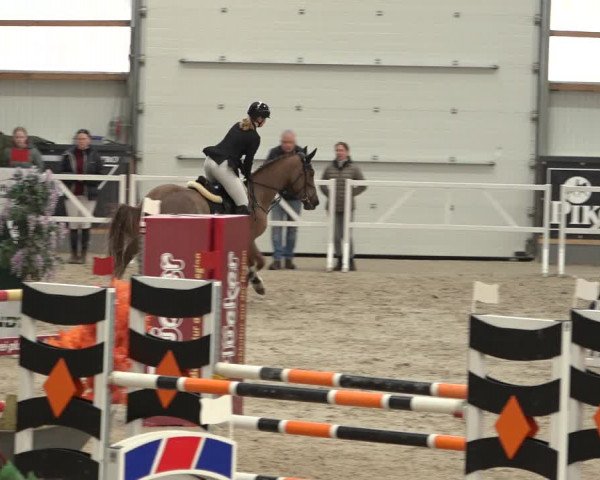 Reitturnier Borken 2023