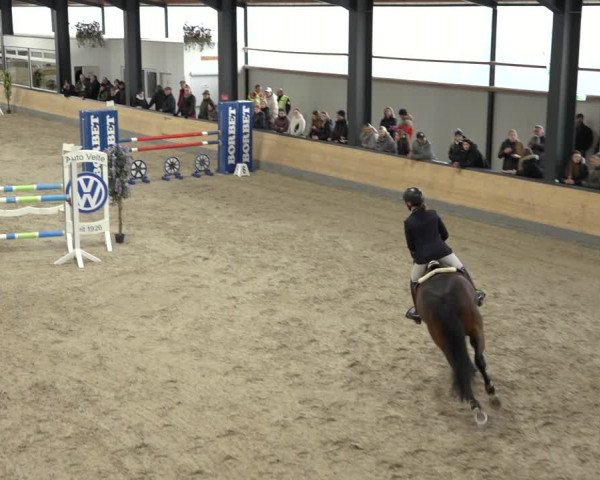 Reitturnier Borken 2023