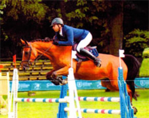 broodmare Barbie de La Serre (Selle Français, 2011, from Newton de Kreisker)