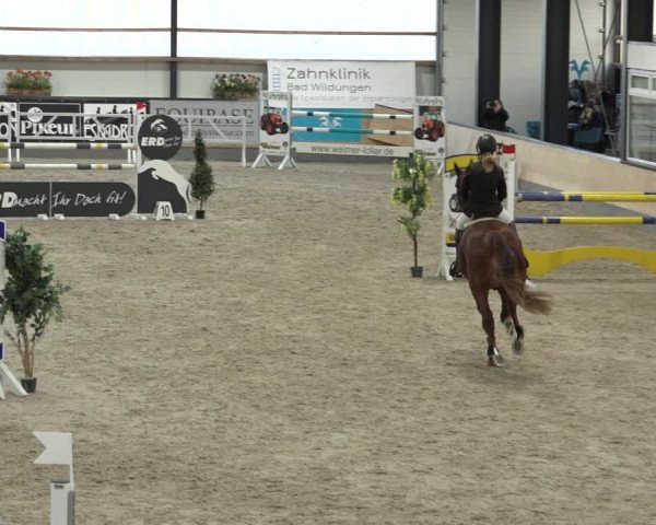 Reitturnier Borken 2023