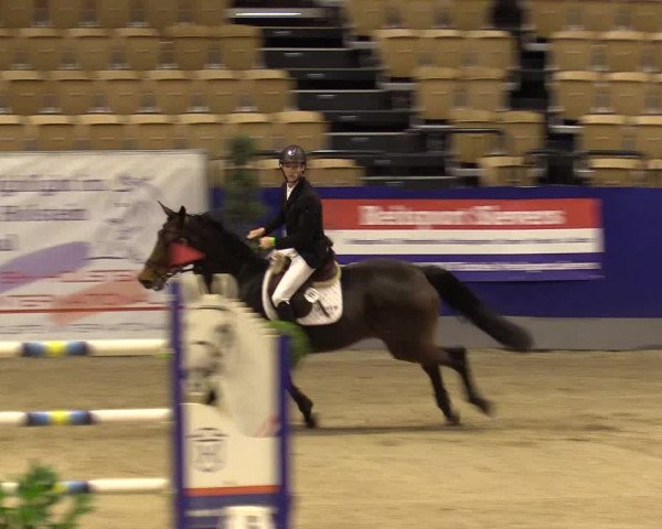 FEI Reitturnier Neumünster (GER) 2021