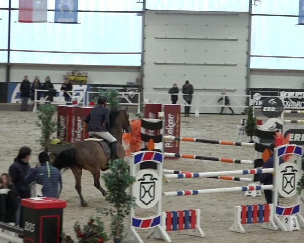 Reitturnier Borken 2023