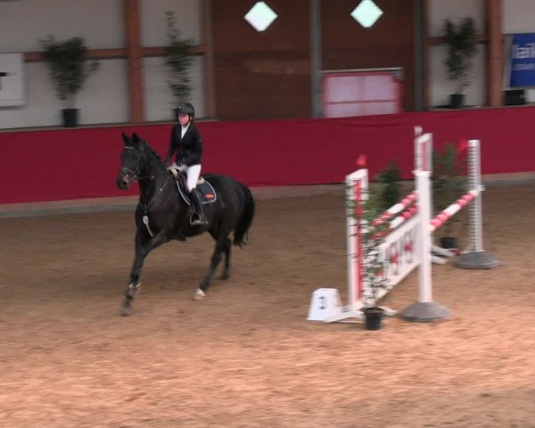 Reitturnier Klein Drehle - Reitanlage König 2023