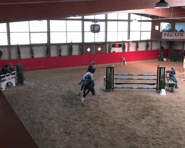 Reitturnier Klein Drehle - Reitanlage König 2023
