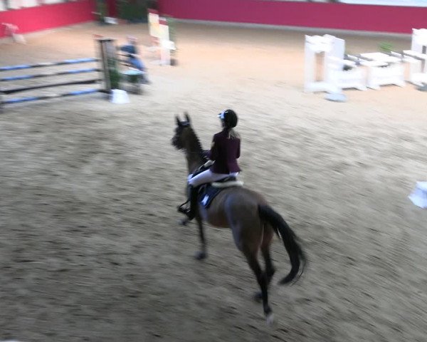Reitturnier Klein Drehle - Reitanlage König 2023