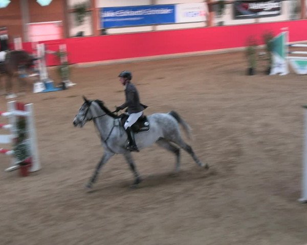 Reitturnier Klein Drehle - Reitanlage König 2023