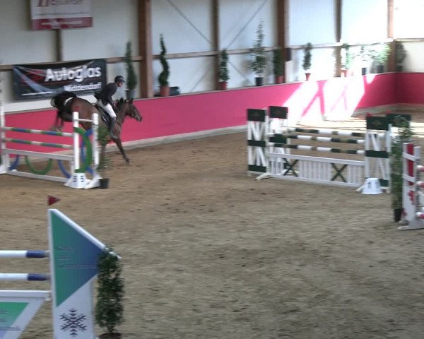 Reitturnier Klein Drehle - Reitanlage König 2023