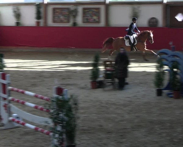 Reitturnier Klein Drehle - Reitanlage König 2023