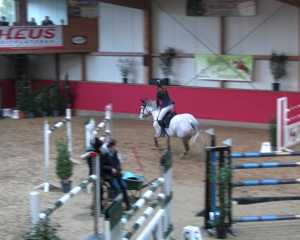 Reitturnier Klein Drehle - Reitanlage König 2023