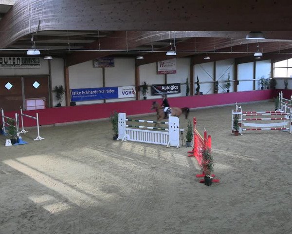 Reitturnier Klein Drehle - Reitanlage König 2023