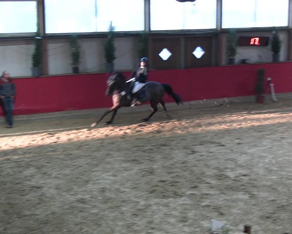 Reitturnier Klein Drehle - Reitanlage König 2023