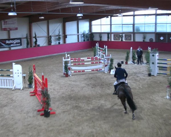 Reitturnier Klein Drehle - Reitanlage König 2023