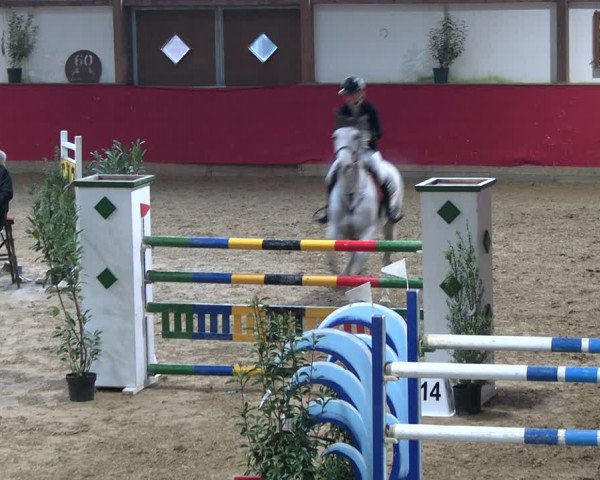 Reitturnier Klein Drehle - Reitanlage König 2023