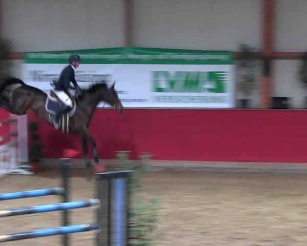 Reitturnier Klein Drehle - Reitanlage König 2023
