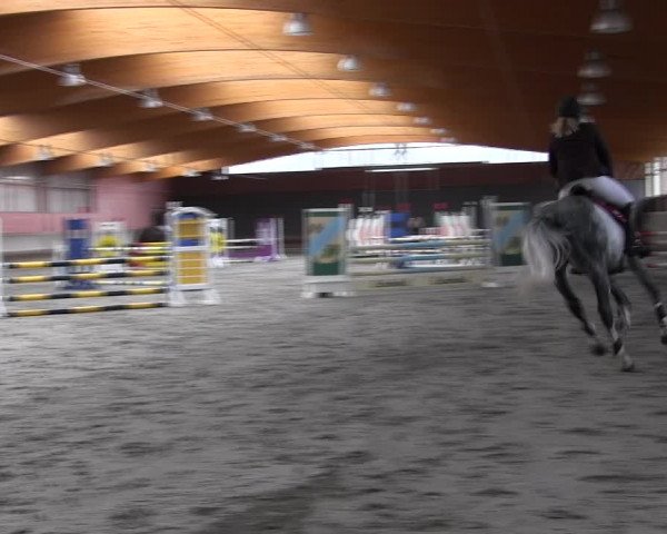 Reitturnier Tremsdorf, Eichenhof 2021