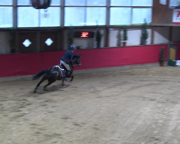 Reitturnier Klein Drehle - Reitanlage König 2023