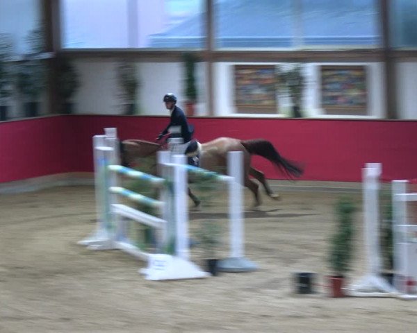 Reitturnier Klein Drehle - Reitanlage König 2023