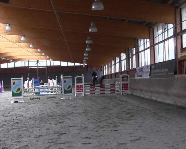 Reitturnier Tremsdorf, Eichenhof 2021
