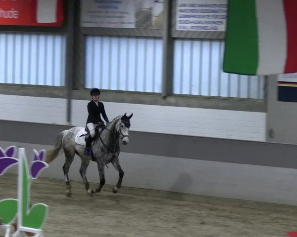 Reitturnier Luhmühlen 2023