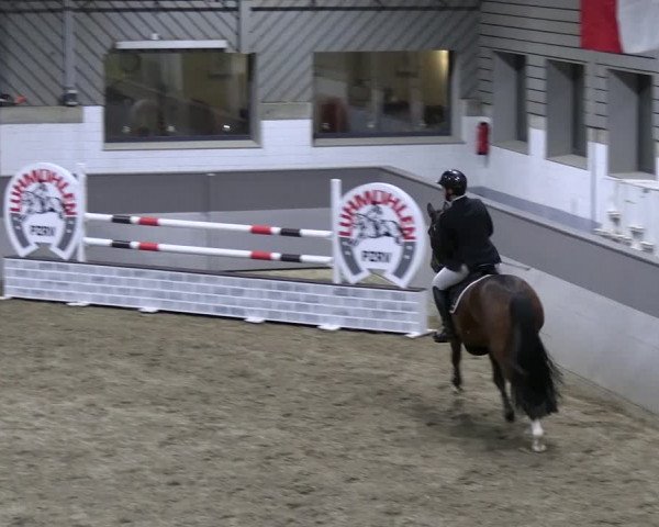 Reitturnier Luhmühlen 2023