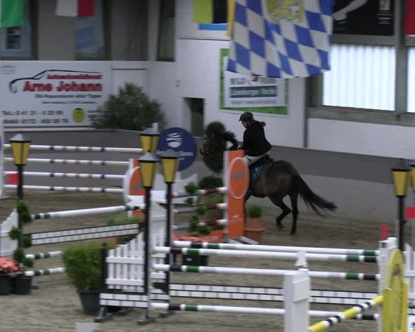 Reitturnier Luhmühlen 2023