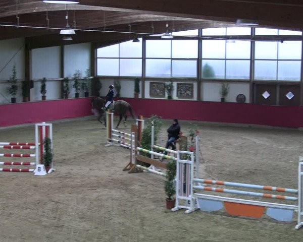 Reitturnier Klein Drehle - Reitanlage König 2023