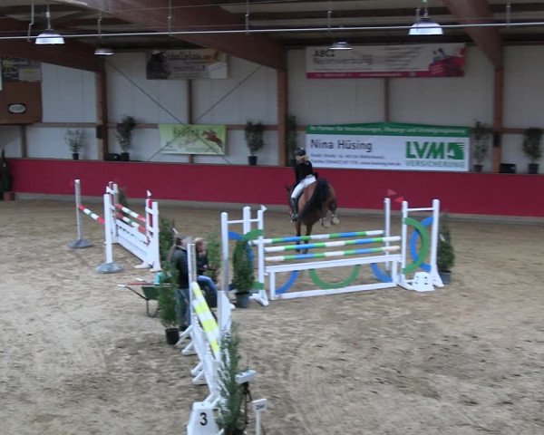 Reitturnier Klein Drehle - Reitanlage König 2023