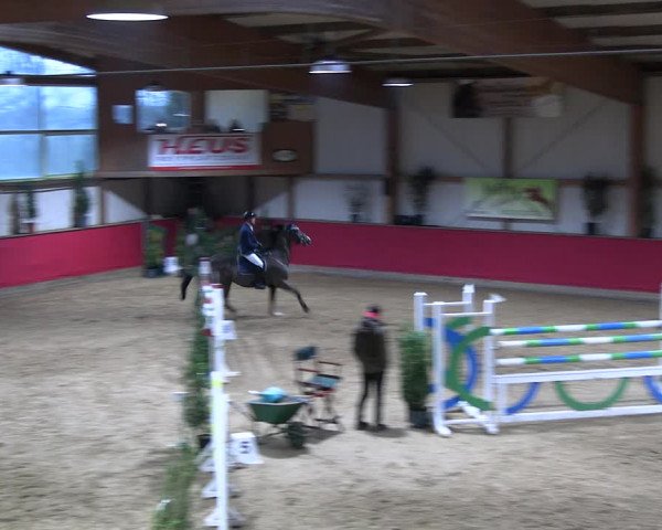 Reitturnier Klein Drehle - Reitanlage König 2023