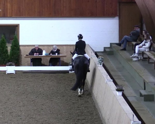 Reitturnier Hövelhof 2021