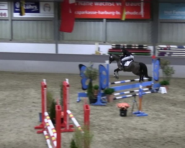 Reitturnier Luhmühlen 2023
