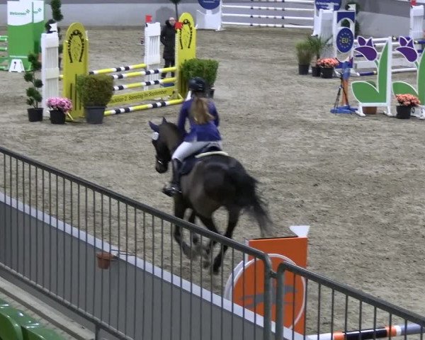 Reitturnier Luhmühlen 2023