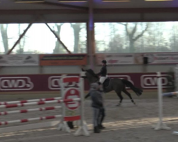 Reitturnier Goch-Asperden 2023