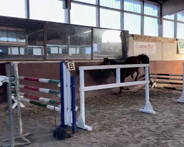 Video of Nesquick C.G.