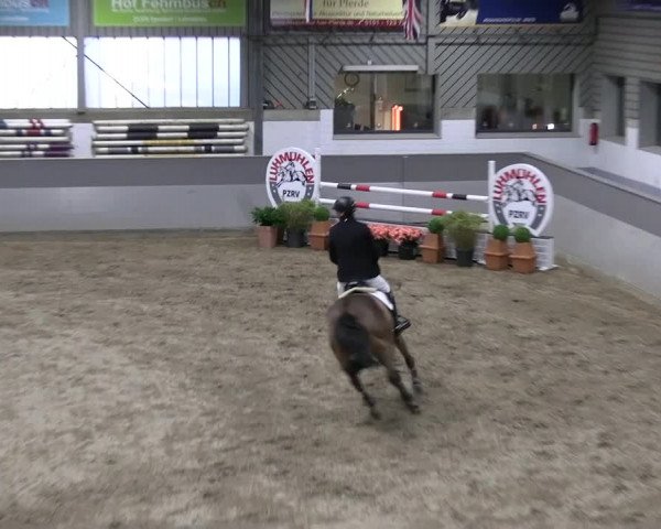 Reitturnier Luhmühlen 2023