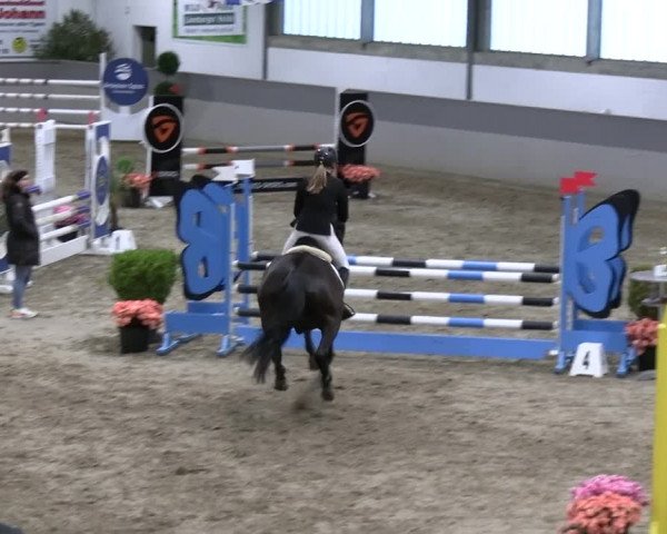 Reitturnier Luhmühlen 2023